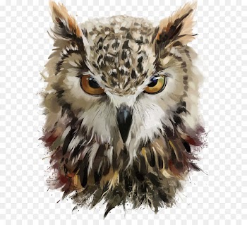 Owl DeviantArt Drawing Painting - Vector hand painted owl 