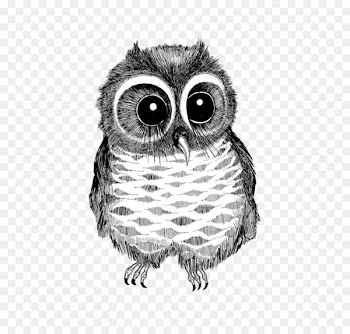 Owl Drawing Bird Black and white Photography - Black and white line drawing big eyes owl 