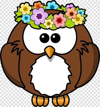 Owl Drawing Cartoon , Hawaiian Animal transparent background PNG clipart
