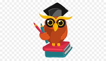 Owl, Drawing, Little Owl, Cartoon PNG