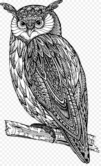 Owl Drawing Royalty-free Illustration - Hand-painted owl png ...