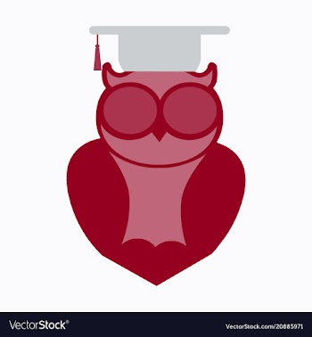 Owl education logo design vector image