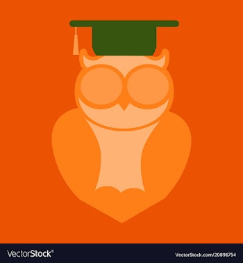 Owl education logo design vector image