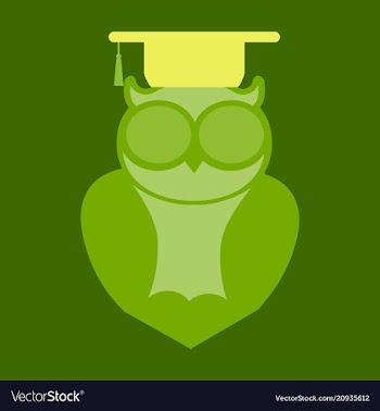 Owl education logo design vector image