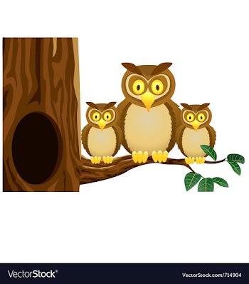 Owl family vector image