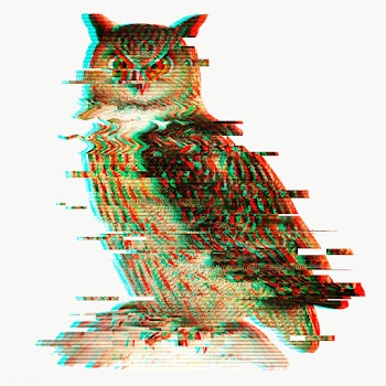 Owl glitch style sticker overlay  | Free  transparent png - 2346606