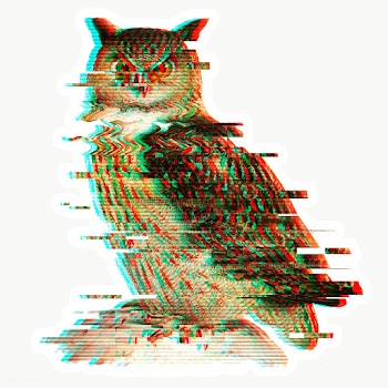 Owl glitch style sticker overlay with a white border | Free  transparent png - 2346611