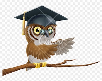 Owl Graduate Or Teacher Icon - Imagenes De Buhos Con Sombrero