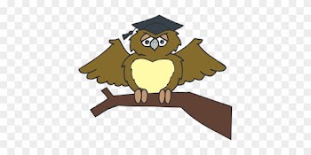 Owl Graduate Sitting Tree Branch Brown Wea - Owl Graduation Clip Art Png