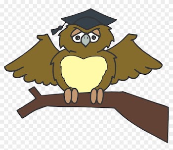 Owl Graduate Sitting Tree Branch Brown Wearing - Owl Graduation Clip Art Png