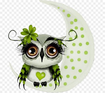 owl green bird snowy owl bird of prey