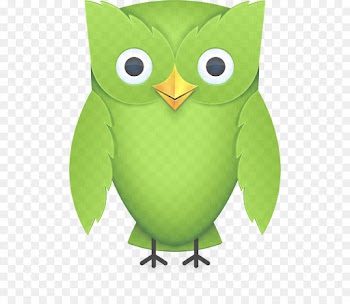 owl green cartoon bird bird of prey