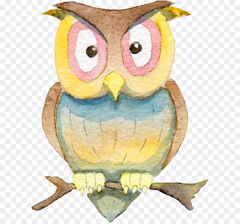 Owl Halloween Illustration - owl 