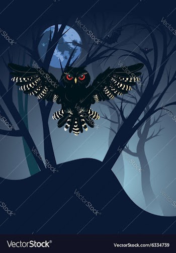 Owl in the Night Forest4 vector image