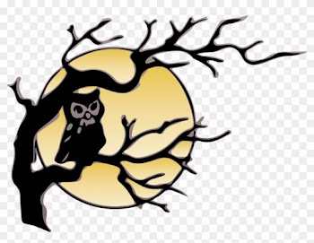 Owl In Tree Drawing