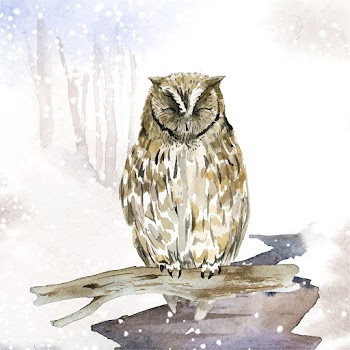 Owl in wintertime watercolor style vector | Free stock vector - 489530