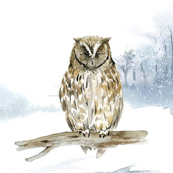 Owl in wintertime watercolor style vector | Free stock vector - 489567