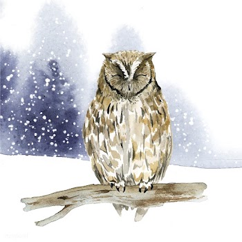 Owl in wintertime watercolor style vector | Free stock vector - 489581
