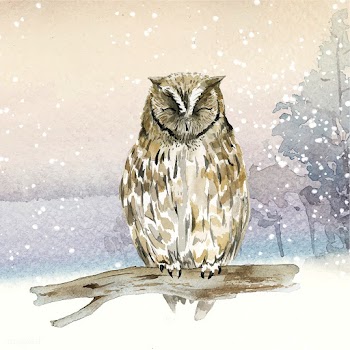Owl in wintertime watercolor style vector | Free stock vector - 489667