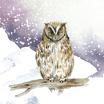 Owl in wintertime watercolor style vector | Free stock vector - 489688