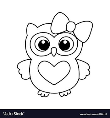 owl isolated on white background