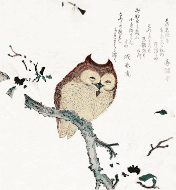 Owl on magnolia branch (1870-1920) | Free Photo Illustration - rawpixel