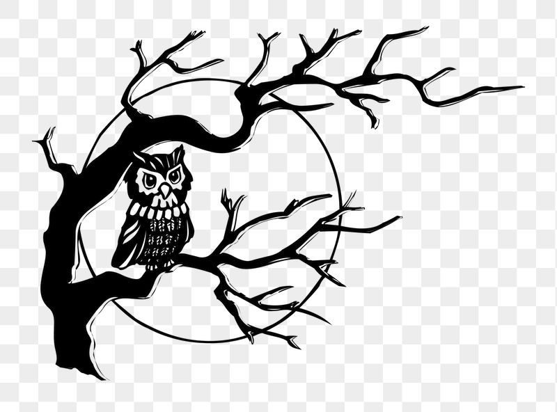 Owl on tree png sticker, | Free PNG - rawpixel