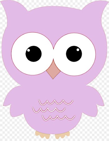 owl pink cartoon purple lilac