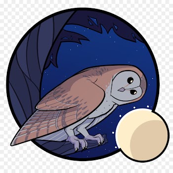 Owl, Platypus, Animal, Bird, Cartoon PNG