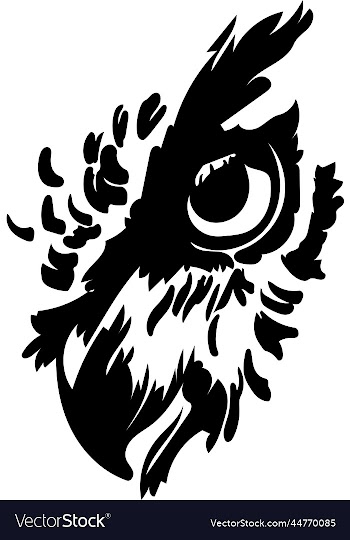 owl portrait drawing