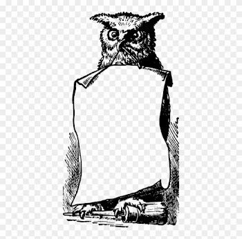 Owl Professor Minerva Mcgonagall Harry Potter Drawing - Harry Potter Border Clipart