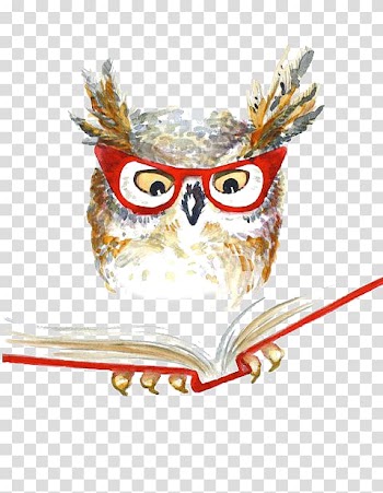 Owl reading book wearing eyeglasses , Owl Drawing Watercolor painting, owl transparent background PNG clipart