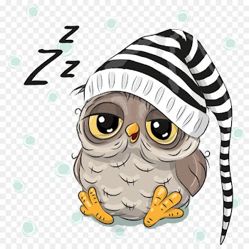 Owl Royalty-free Clip art - Hand-painted cartoon owl with cap 