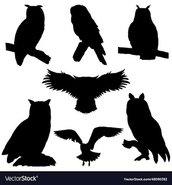 owl silhouette set