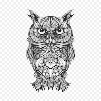 Owl Tattoo Drawing Body art Sketch - Tattoo 