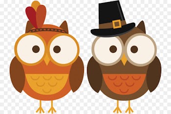 Owl Thanksgiving Cuisine of the United States Turkey Clip art - Thanksgiving turkey 
