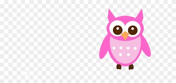 Owl Transparent Baby