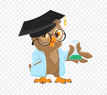 Owl Vector graphics Royalty-free Stock illustration - aducation cartoon 