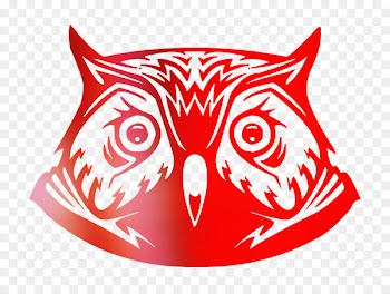 Owl Vector graphics Royalty-free Stock photography Illustration -  