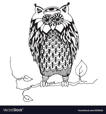 Owl vector image