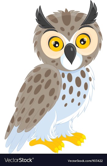 Owl vector image