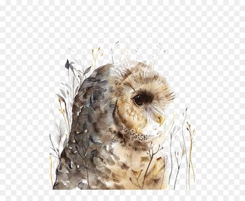 Owl Watercolor painting Art - Watercolor painted owl 