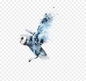 Owl Watercolor Painting Harry Potter Art Drawing - Watercolor Owl Transparent