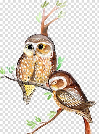 Owl Watercolor painting, Watercolor Owl transparent background PNG clipart