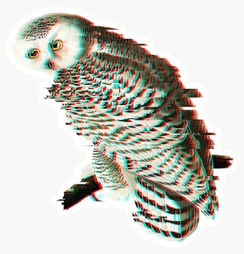 Owl with glitch effect sticker overlay | Free  transparent png - 2359165