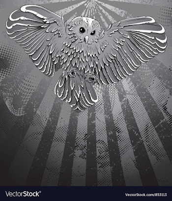 Owl with grunge background vector image