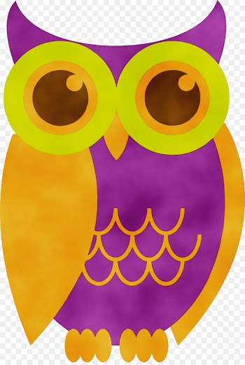 owl yellow clip art bird of prey purple