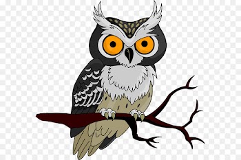 Owls to Athens Halloween Jack-o'-lantern Clip art - Owl Clip Art 