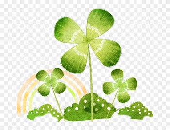 Oxalis Acetosella Four-leaf Clover - Four-leaf Clover