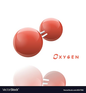  					Oxygen molecule icon vector image														